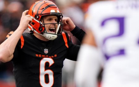 Where to watch Bengals at Vikings: TV channel, live stream, prediction, pick, odds, spread