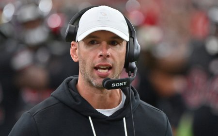 Cardinals fining coach Jonathan Gannon $100,000 for sideline incident with Emari Demercado, per report