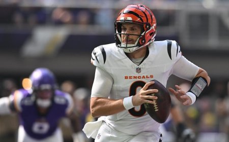 NFL predictions: Proven model says Bengals had better options than Joe Flacco to replace Jake Browning at QB