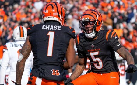 Best betting apps, sites, NFL promo codes for Thursday Night Football: How, where to bet Steelers vs. Bengals