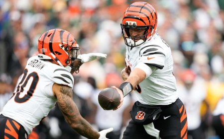 Best betting apps, NFL promo codes, sites for Thursday Night Football: How, where to bet Steelers vs. Bengals