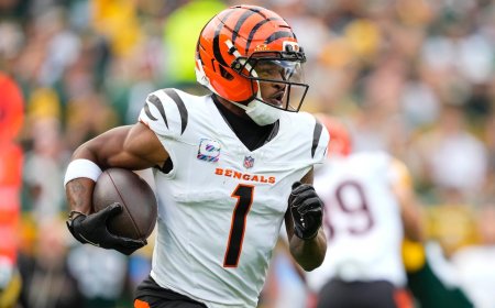 NFL DFS, Bengals-Steelers: Top FanDuel, DraftKings daily Fantasy football picks for Thursday Night Football