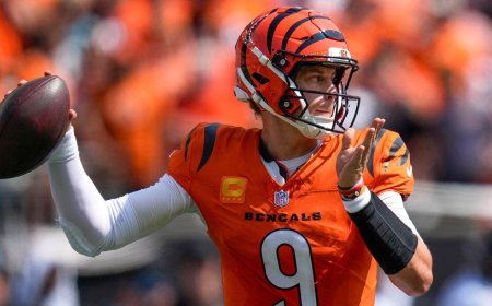 Joe Burrow makes surprise appearance at Bengals vs. Steelers: QB on track for mid-December return, per report