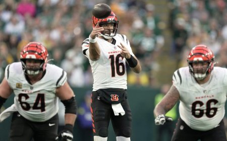 Best NFL sportsbooks promos for Bengals vs. Steelers on Thursday Night Football: BetMGM, bet365 betting promos