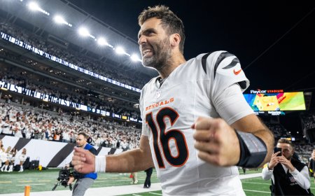 Don't bury the Bengals just yet: With Joe Flacco, there's a path to win the AFC North