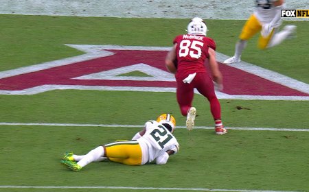 Cardinals' Trey McBride scores second touchdown vs. Packers | NFL Highlights