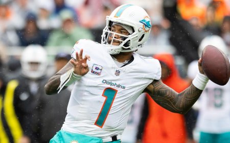 Where to watch Dolphins vs. Falcons: TV channel, live stream, prediction, pick, odds, spread