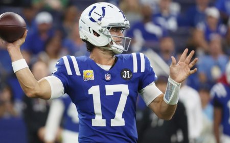 NFL DFS: Optimizer reveals Week 8, 2025 daily fantasy football picks, strategy, advice on DraftKings, FanDuel