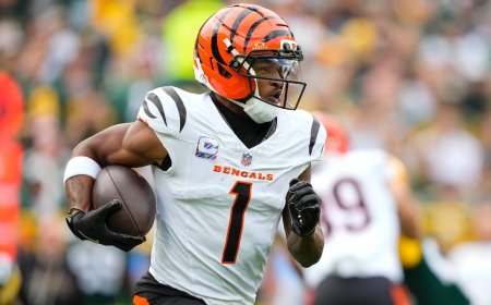 NFL DFS, Week 8: Top FanDuel, DraftKings daily Fantasy football picks include Ja'Marr Chase, Bijan Robinson