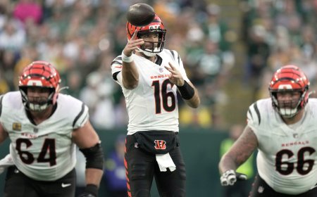 Where to watch Jets vs. Bengals: TV channel, live stream, prediction, pick, odds, spread