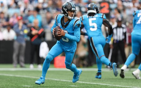 Where to watch Panthers vs. Bills: TV channel, live stream, prediction, pick, odds, spread