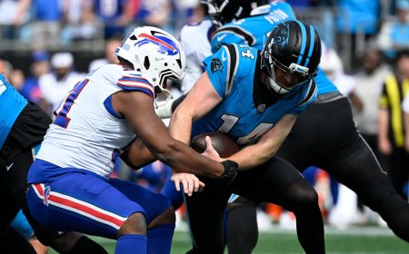 Ed Oliver injury: Bills star DT out indefinitely after suffering torn biceps against Panthers, per report