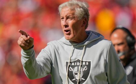 NFL Week 9 picks: Favorites have been dominating, but I'm backing these underdogs to bark and shake things up