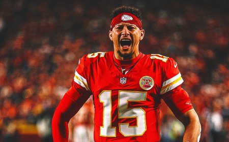 Ahead of Chiefs-Bills, House Begs 'Please, Do Not Land on One'