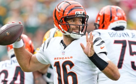Bears vs. Bengals: Where to watch NFL Week 9, score prediction, betting odds, promos, SGP picks