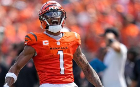 NFL DFS, Week 9: Top FanDuel, DraftKings daily Fantasy picks include Christian McCaffrey, Ja'Marr Chase