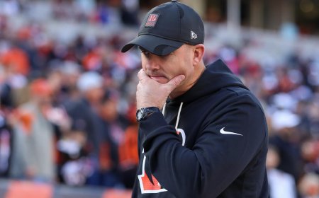 A Bengals challenge results in a Bears touchdown leading to one of the wildest finishes of the season