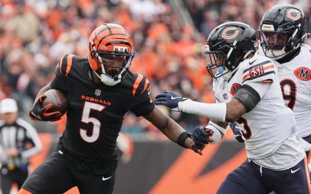 Tee Higgins joins Jerry Rice, Cris Carter in rare club with remarkable Bengals touchdown grab