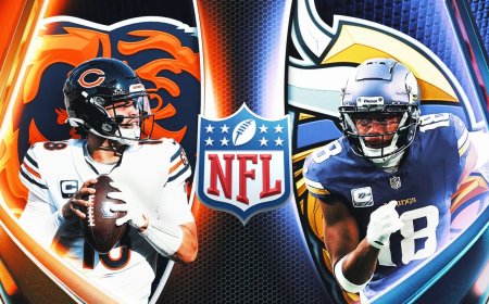 FOX Super 6 Contest: Chris 'The Bear' Fallica's NFL Week 11 Picks, Predictions