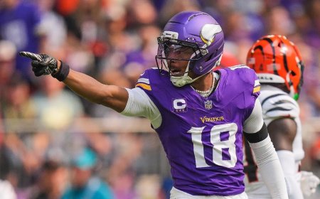 NFL DFS, Week 11: Top FanDuel, DraftKings daily Fantasy picks include Jaylen Warren, Justin Jefferson