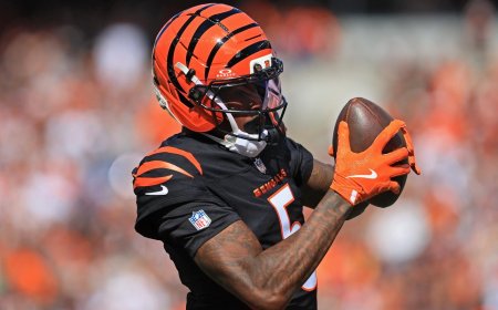 Bengals vs. Steelers: Where to watch NFL Week 11, score prediction, betting odds, sportsbook promos, SGP picks