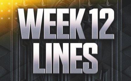 2025 NFL Odds Week 12: Lines, Spreads for all 14 Games