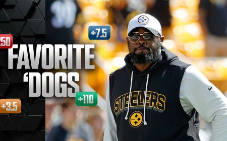 Favorite 'Dogs: Back Mike Tomlin, Steelers at Bears; Mizzou at OU
