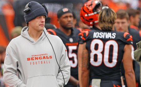 NFL Week 12 injury report: Joe Burrow a full participant at Bengals practice, Steelers hold out Aaron Rodgers
