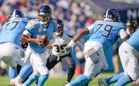 NFL Week 12 betting: Expert breaks down strategy for backing underdogs in games with low totals