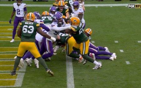 Packers' Emanuel Wilson rushes for a one-yard touchdown vs. Vikings | NFL Highlights