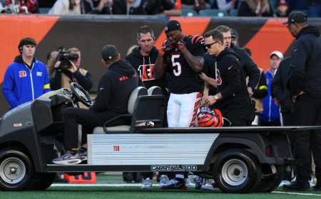 Tee Higgins suffers concussion, leaves game against Patriots as Bengals' WR depth dwindles