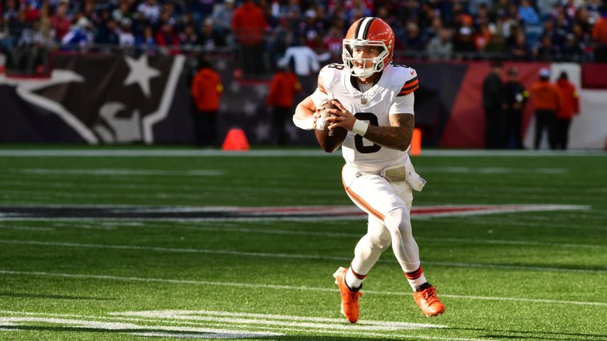 NFL Week 11 betting: Expert breaks down strategy for backing underdogs in low-scoring divisional games