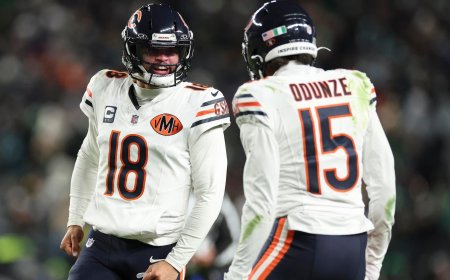 Bears become new No. 1 seed in NFC following Rams' shocking loss to Panthers