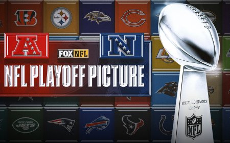 2025 NFL Playoff Picture, Bracket, Schedule Updated After Week 14's Sunday Slate