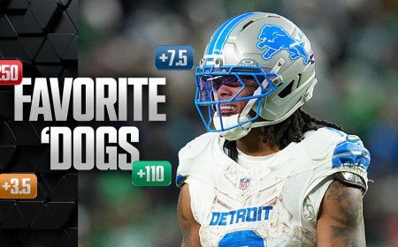 Favorite 'Dogs: Back Lions to Test 1st-Place Rams
