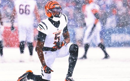 2025 NFL Week 15 Buzz: Tee Higgins Update, Jayden Daniels Status Revealed