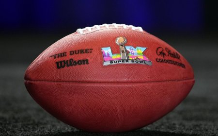 Super Bowl Survivor: Which two teams are left standing in one of the NFL's most unpredictable seasons?