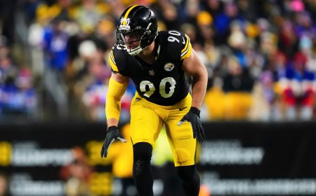 Steelers' T.J. Watt underwent surgery to repair partially collapsed lung, brother J.J. Watt says