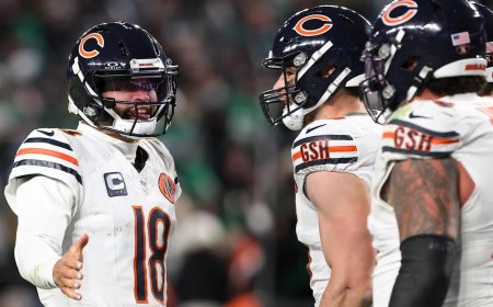 Browns vs. Bears: Where to watch NFL Week 15, betting odds, score prediction, sportsbook promos, SGP picks