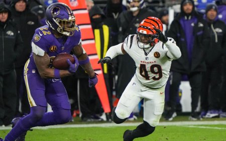 NFL DFS, Week 15 Sunday: Top daily Fantasy picks for FanDuel, DraftKings include Derrick Henry, Mike Gesicki