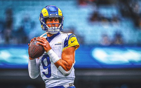 2025 NFL Division Winner Odds: Crucial Week 16 Games Set to Impact Races